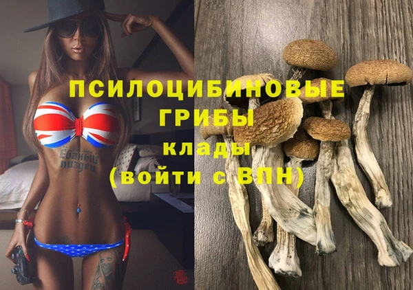 героин Елизово