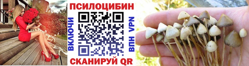 Купить где  Катав-Ивановск  Галлюциногенные грибы мухоморы 