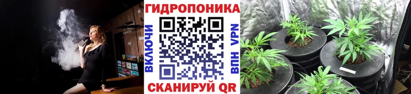 Купить где  Катав-Ивановск  Каннабис марихуана 
